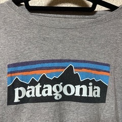 お値下げ　パタゴニアPatagoniaTシャツグレーXL（14）服/ファッション Tシャツ の画像