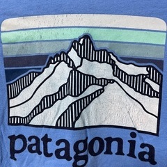 値下げ20%オフパタゴニアPatagoniaL（12）服/ファッション Tシャツ メンズの画像