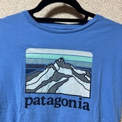 値下げ20%オフパタゴニアPatagoniaL（12）服/ファッション Tシャツ メンズの画像
