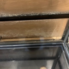 爬虫類ケージの画像