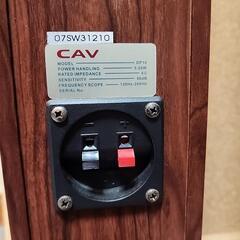 お話し中】CAV トールボーイ スピーカー DP10 ペア (NETO) 宮川