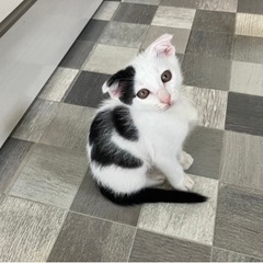 男の子2ヶ月