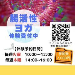コース別　腸と脳のヨガ体験できます！の画像