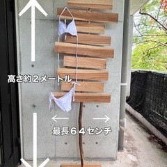 メニュー看板