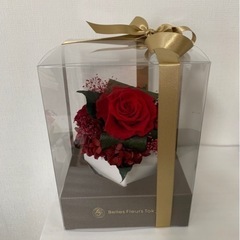ブリザードフラワー