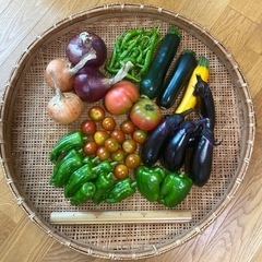 6/30🍅夏野菜+玉ねぎ🧅つめあわせ