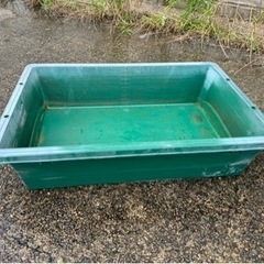 トロ箱