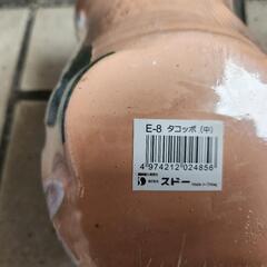水槽インテリアの画像