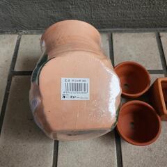 水槽インテリアの画像