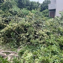 枝葉の処分、なるべくお金のかからない策を