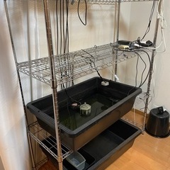 家具 収納家具 スチールラック