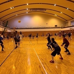 【ソフトバレーボールメンバー募集🏐🌟】 - スポーツ