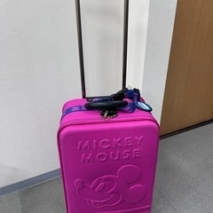 【値下げしました】ミッキーマウス　ソフトキャリーケースの画像