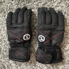 スキースノーボードグローブレディース