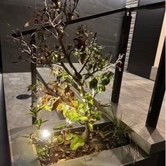 大宮から戸田辺りまでで、食事、飲み、競馬、ボート仲間