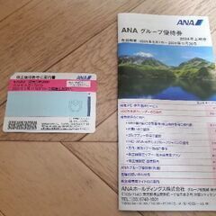 ANA 株主優待券1枚 有効期限2025/5/31