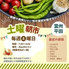 土曜朝市とガザニア苗無料配布