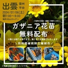 土曜朝市とガザニア苗無料配布 - 出雲市
