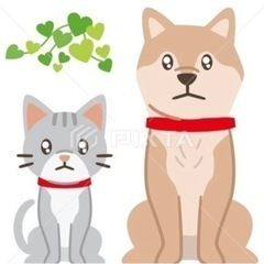 猫用品をください🙇‍♀️
