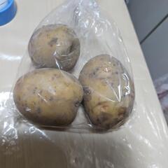 じゃがいも 3個