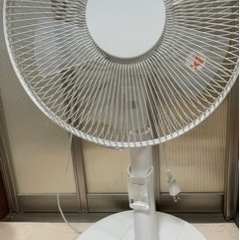 扇風機をお譲りいたします