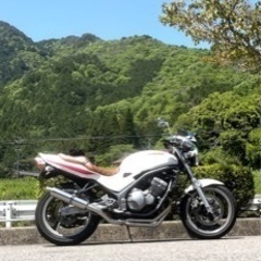 カワサキ　バリオス