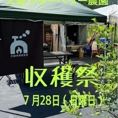 🫐大原ブルーベリー農園🫐ブルーベリー収穫祭‼️