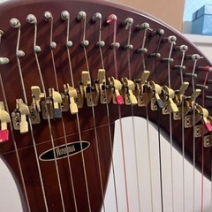 青山ハープ AOYAMA 130B 34弦　取引限定の画像
