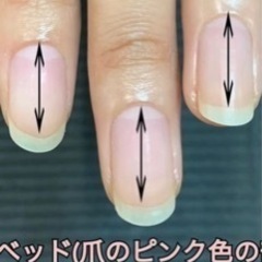 コンペハンドモデル募集中