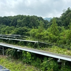 ご協力ありがとうございました‼️桜川市　伐採業務　木の伐採　手伝い　4名募集します。の画像
