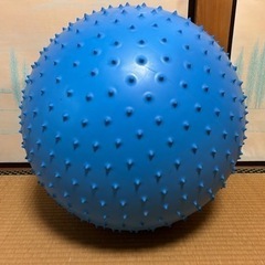 バランスボール