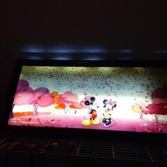 家電 テレビ