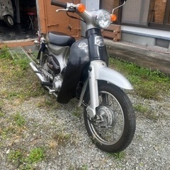 リトルカブ