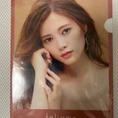 白石麻衣さん　クリアファイルA5※商品説明欄必読の画像