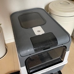 猫　トイレ