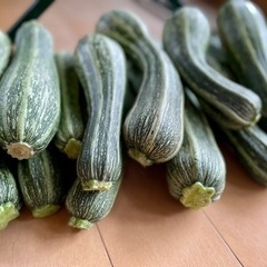 ズッキーニ［化学農薬・化学肥料不使用］※相談中