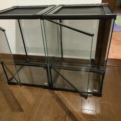 （取引中）爬虫類　ゲージ　残り1個の画像