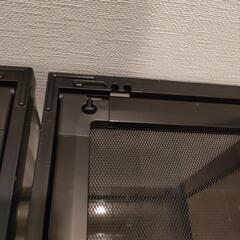 （取引中）爬虫類　ゲージ　残り1個の画像