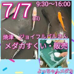 7/7(日)焼津ジョイフルパルさん　メダカすくい・販売　よっちゃ...
