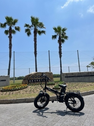 フル&アシスト電動自転車