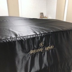 ぴゅーなピアノ教室大生徒募集⭐︎