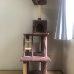 キャットタワー