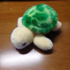 カメ　ぬいぐるみ