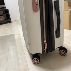 【受け渡し者決定】スーツケースの画像