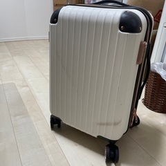 【受け渡し者決定】スーツケースの画像