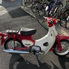 リトルカブの画像