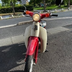 リトルカブ