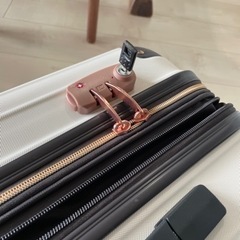 【受け渡し者決定】スーツケースの画像