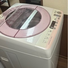 家電 生活家電 洗濯機