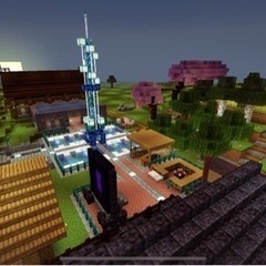 マイクラ レルムズサーバー 女性メンバー募集